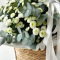 Green White Pom Pom Basket - TAVÉINE AE