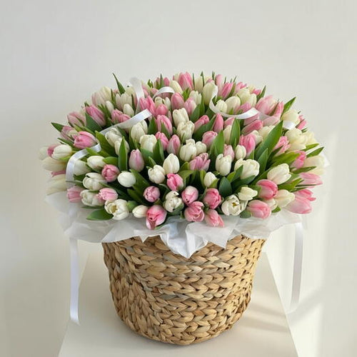 Blush Tulip Garden - TAVÉINE AE