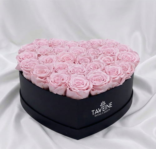 Blush Eternity - TAVÉINE AE