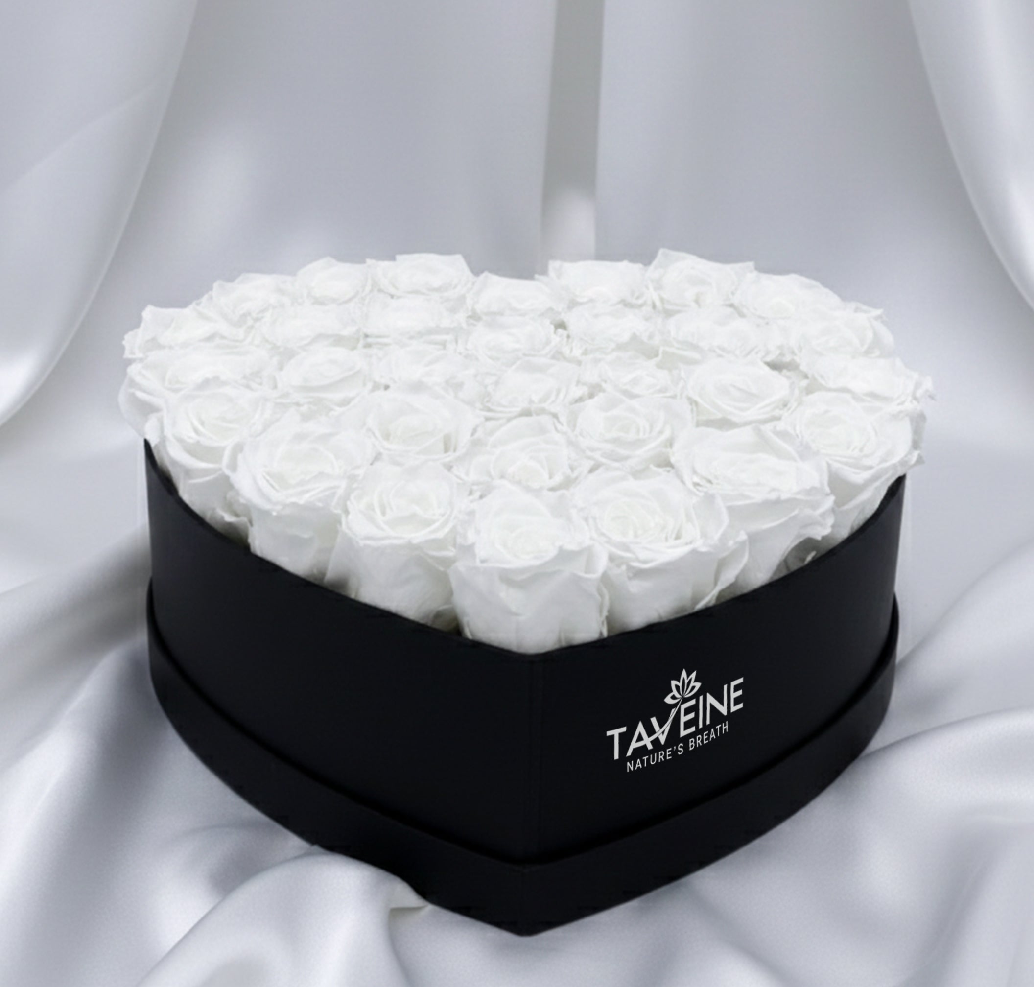 Ivory Whisper - TAVÉINE AE