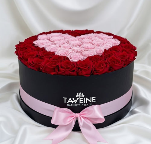 Blushing Heart - TAVÉINE AE