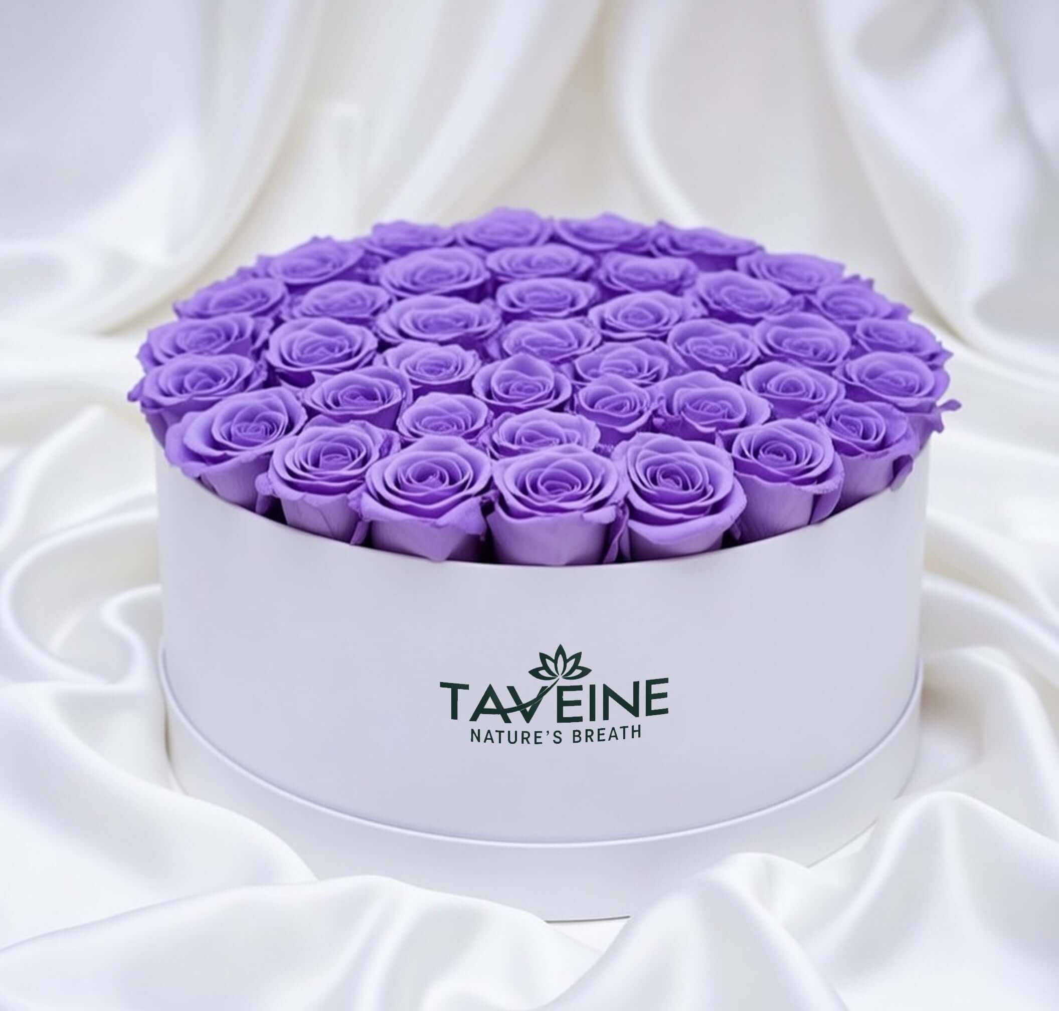 Lavender Dream - TAVÉINE AE