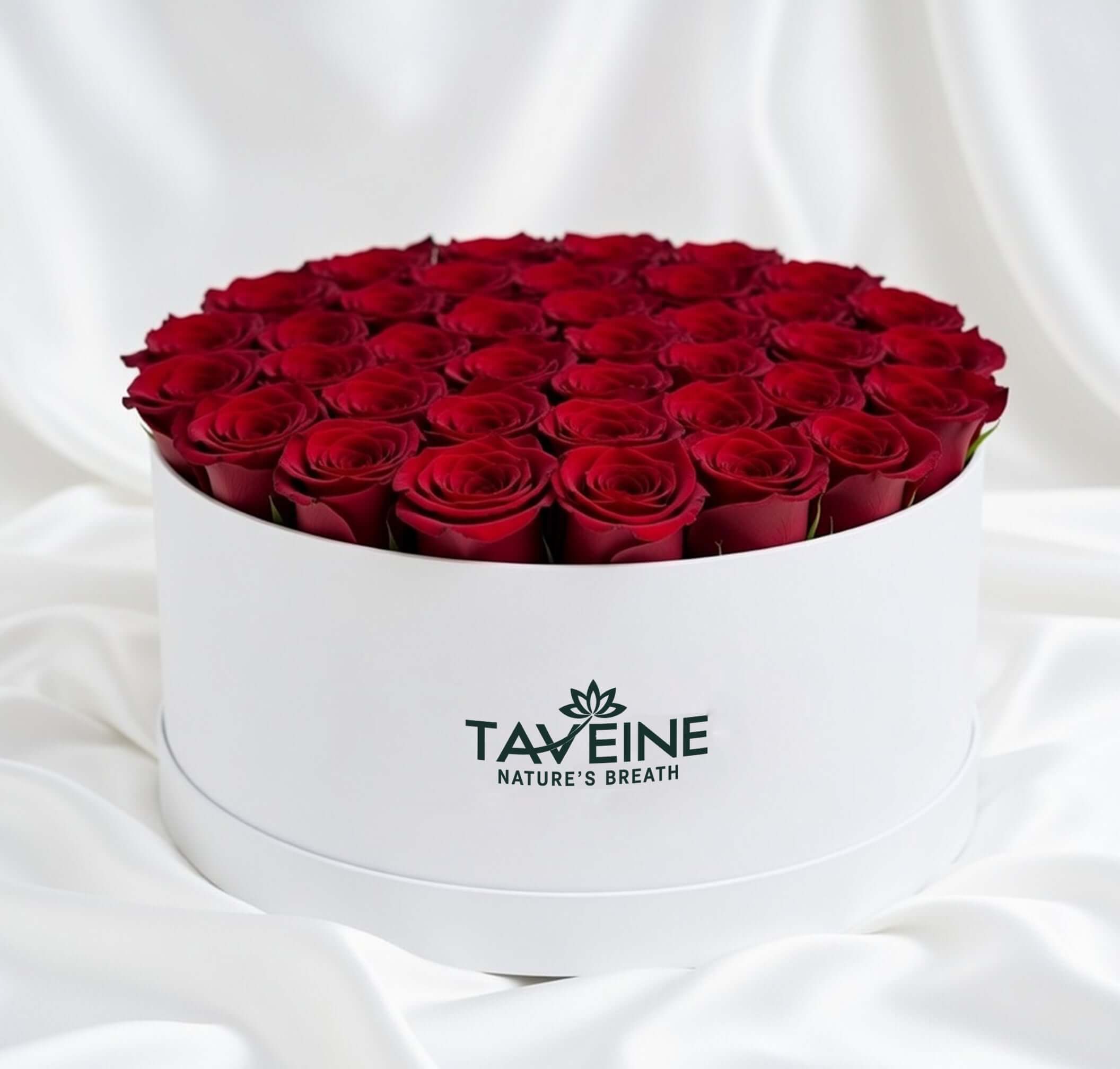 Classic Devotion - TAVÉINE AE