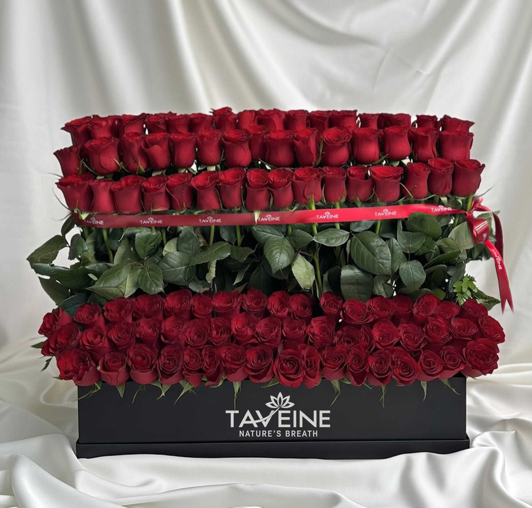 Imperial Rows - TAVÉINE AE