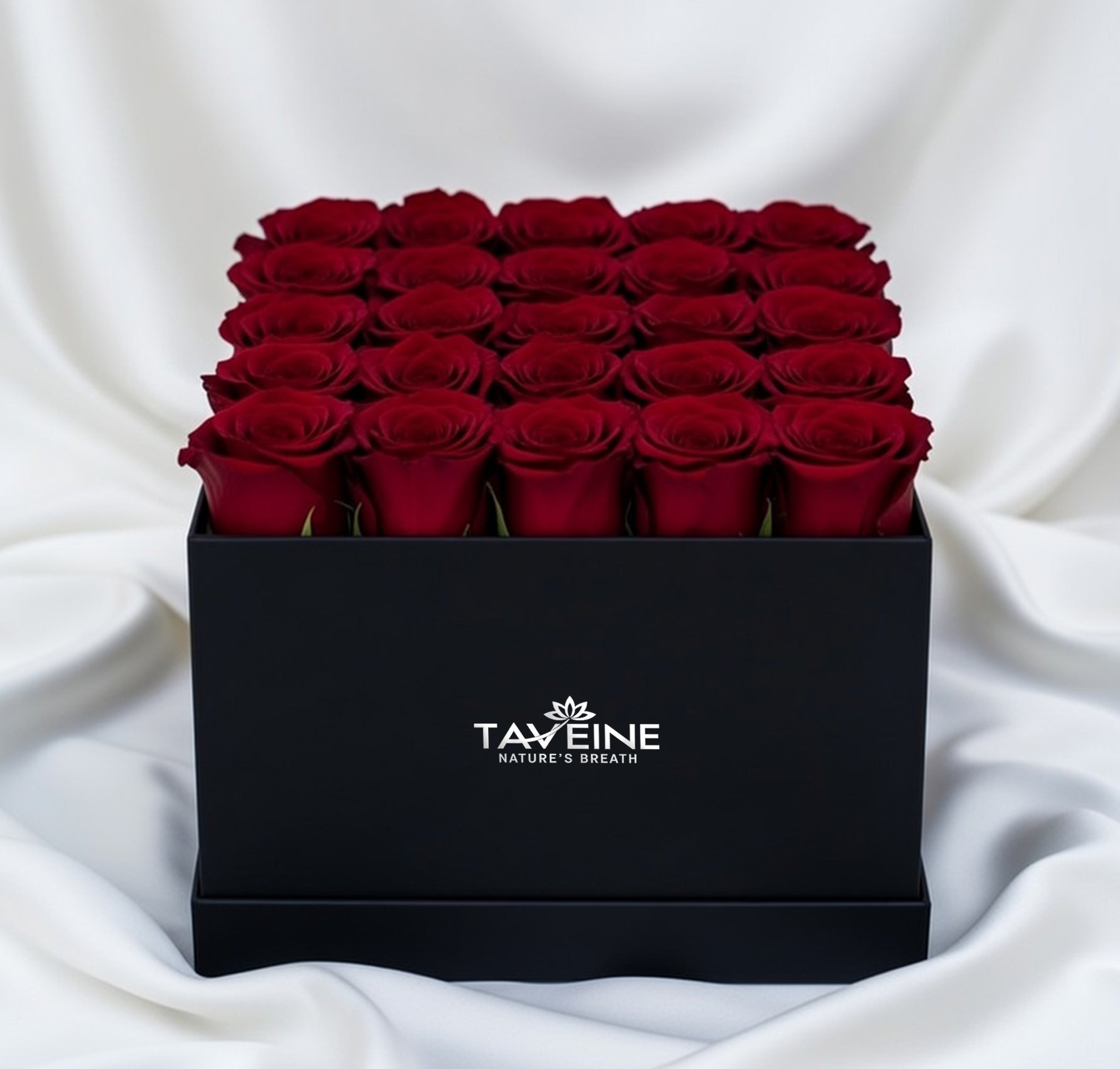 Midnight Elegance - TAVÉINE AE