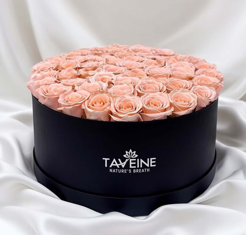 Champagne Grace - TAVÉINE AE