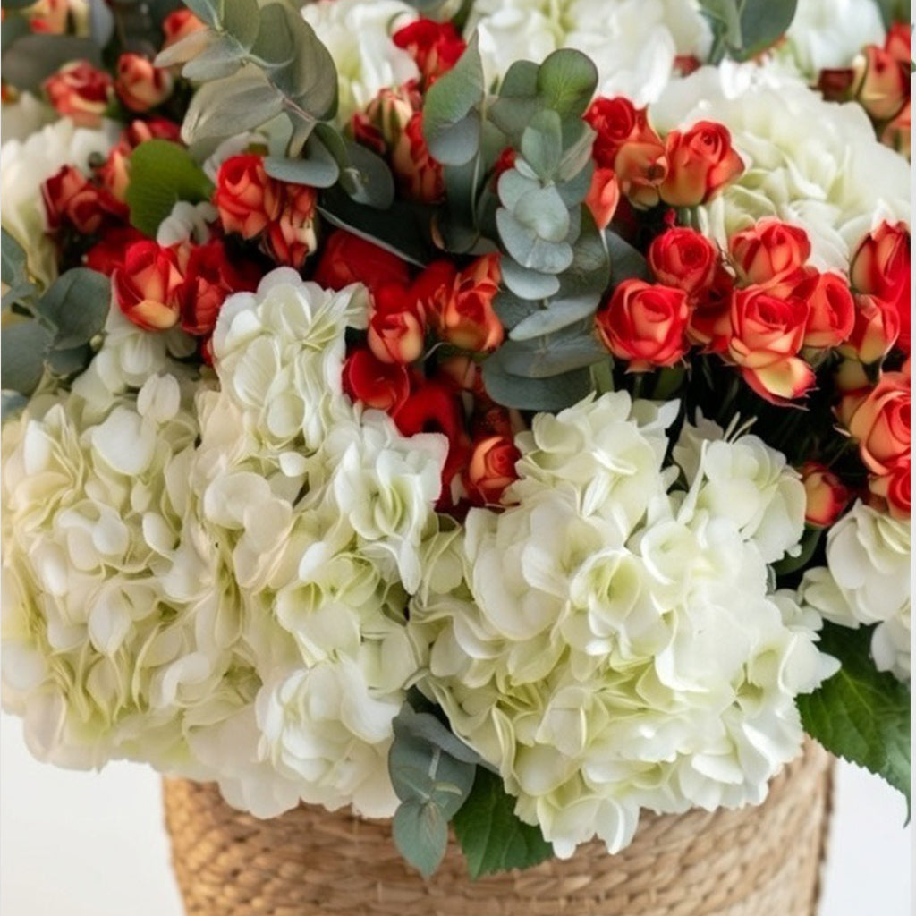 Red and White Hydrangea Basket - TAVÉINE AE