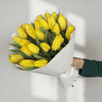 Golden Sunshine - 25 Yellow Tulips - TAVÉINE AE