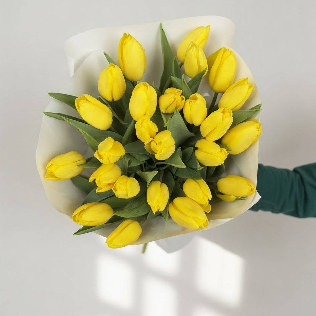 Golden Sunshine - 25 Yellow Tulips - TAVÉINE AE