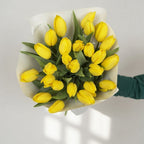 Golden Sunshine - 25 Yellow Tulips - TAVÉINE AE