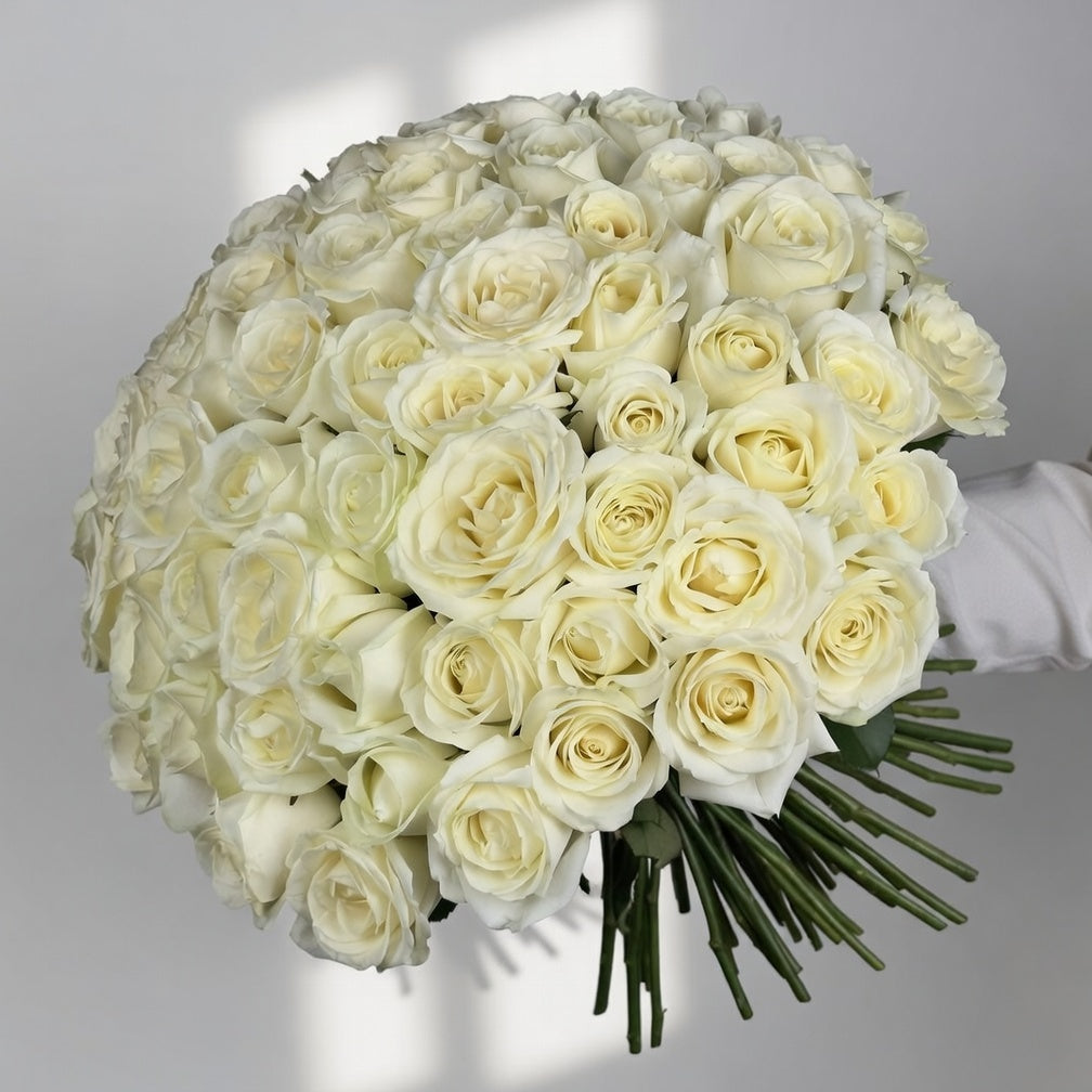 Ivory Radiance - 51 White Kenyan Roses - TAVÉINE AE