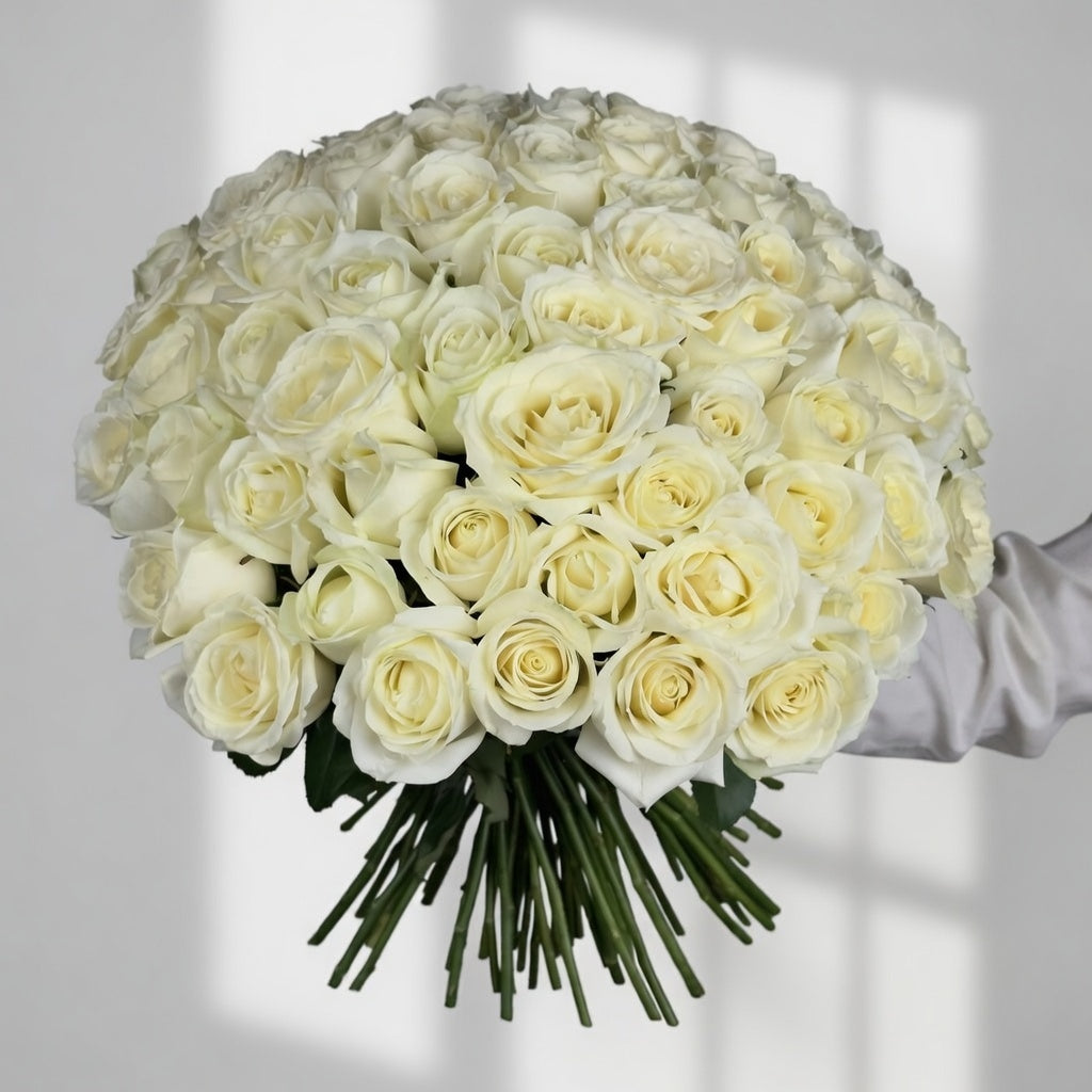 Ivory Radiance - 51 White Kenyan Roses - TAVÉINE AE