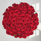 Ivory Radiance - 51 White Kenyan Roses - TAVÉINE AE