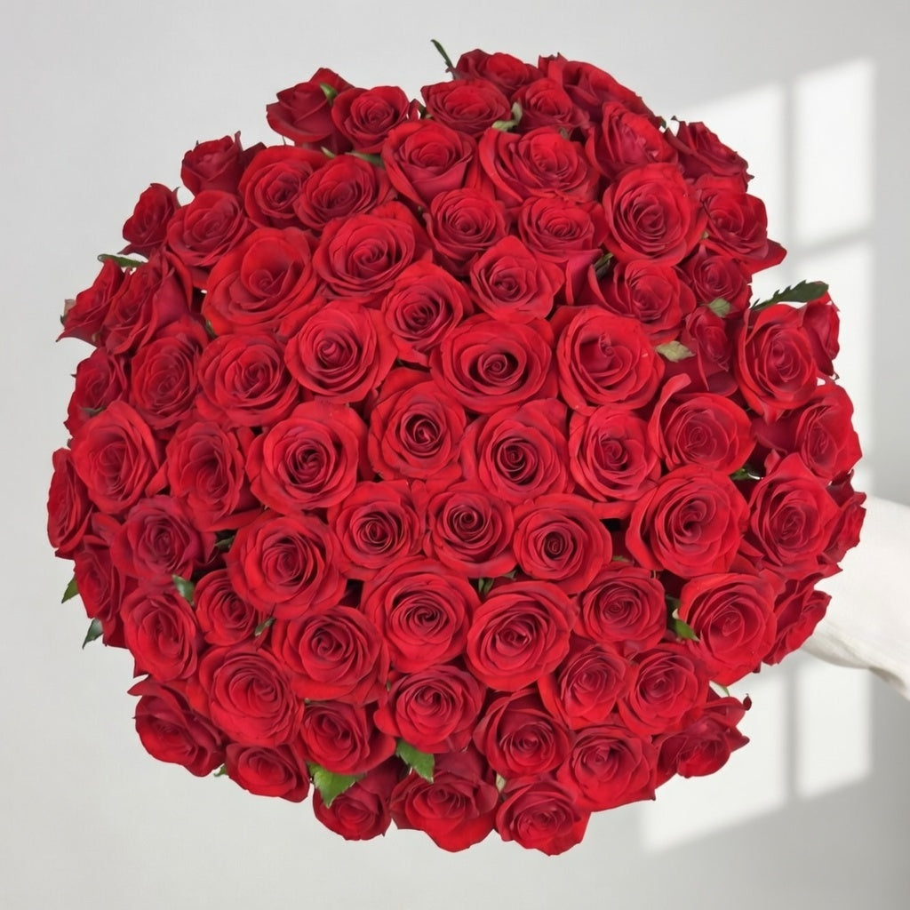 Ivory Radiance - 51 White Kenyan Roses - TAVÉINE AE