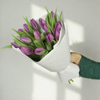 Purple Charm - 15 Tulips - TAVÉINE AE