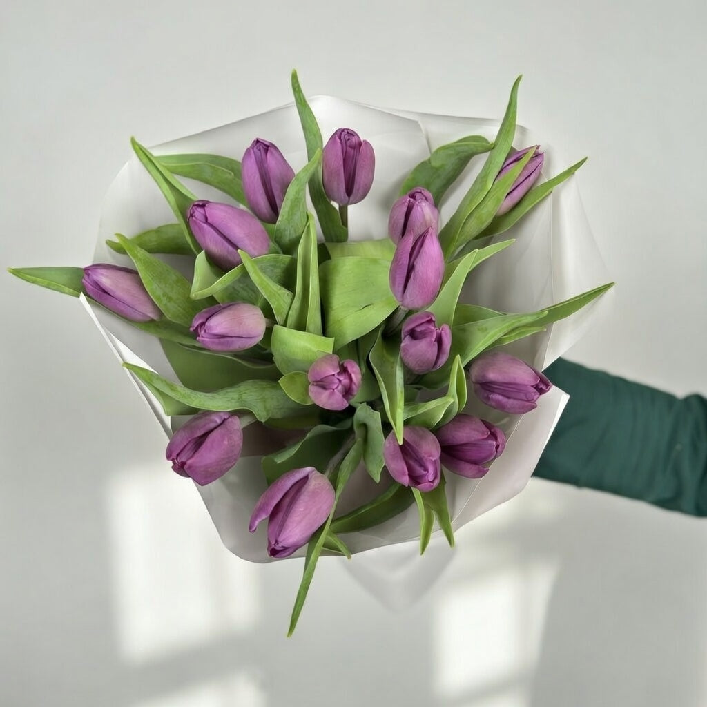 Purple Charm - 15 Tulips - TAVÉINE AE