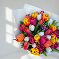 Rainbow Delight - 45 Mixed Tulips - TAVÉINE AE