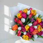 Rainbow Delight - 45 Mixed Tulips - TAVÉINE AE