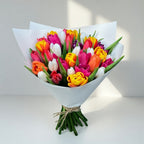 Rainbow Delight - 45 Mixed Tulips - TAVÉINE AE