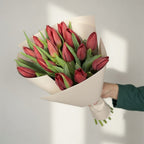 Red Delight - 15 Tulips - TAVÉINE AE
