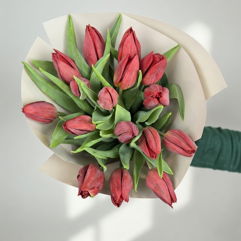 Red Delight - 15 Tulips - TAVÉINE AE