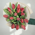 Red Delight - 15 Tulips - TAVÉINE AE