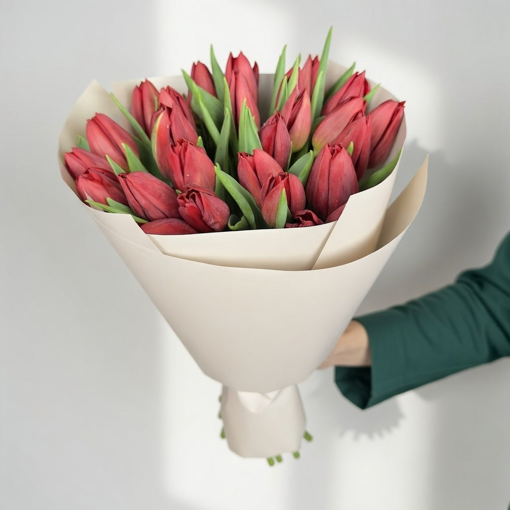 Scarlet Energy - 25 Red Tulips - TAVÉINE AE