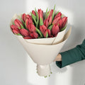 Scarlet Energy - 25 Red Tulips - TAVÉINE AE