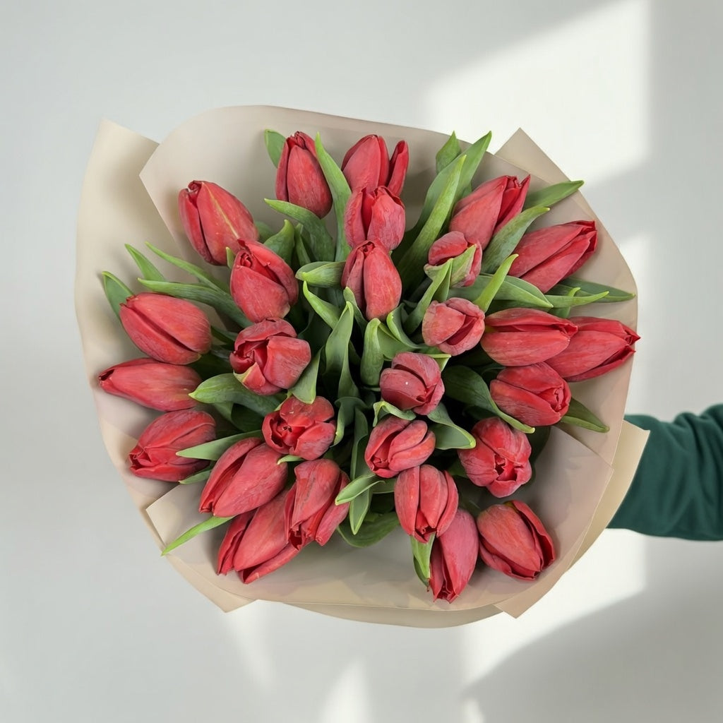 Scarlet Energy - 25 Red Tulips - TAVÉINE AE