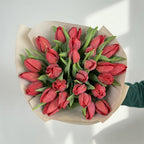 Scarlet Energy - 25 Red Tulips - TAVÉINE AE