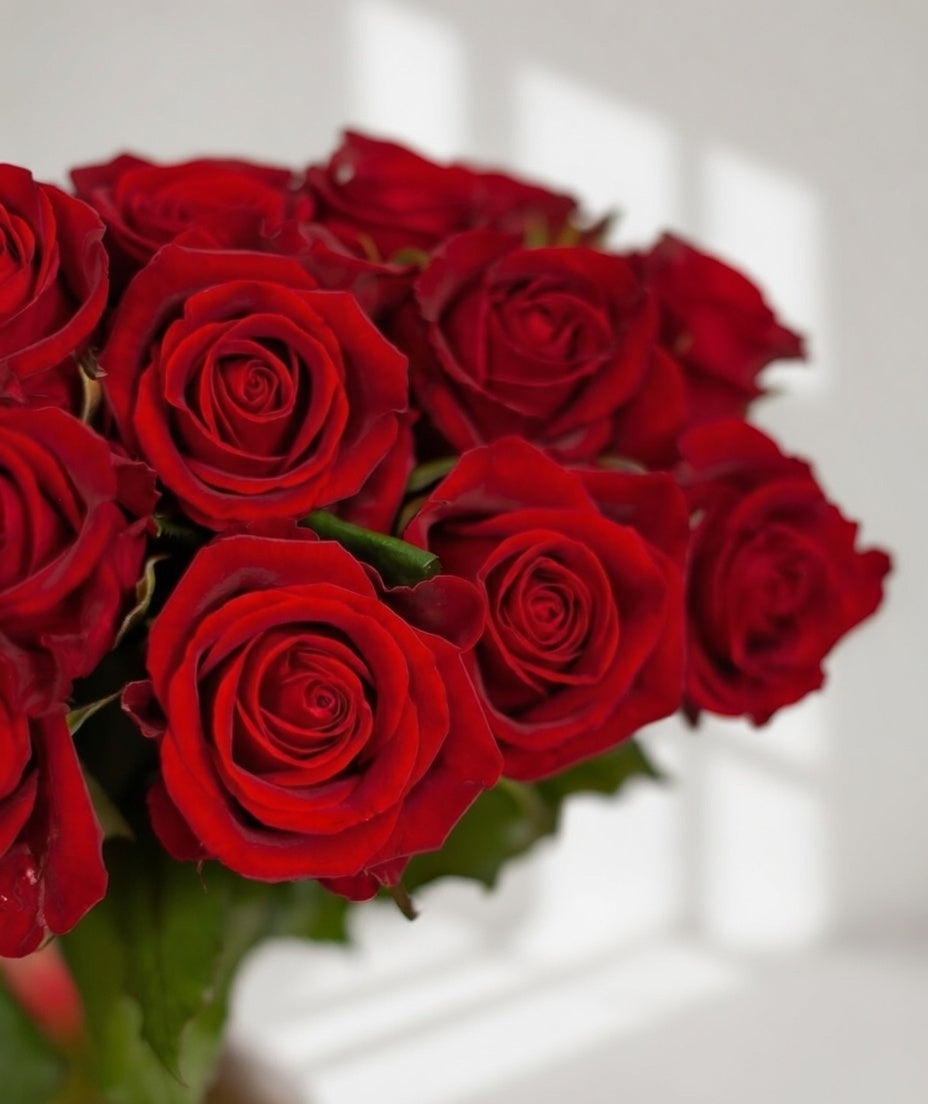 Scarlet Grand Gesture - 51 Ecuador Roses - TAVÉINE AE