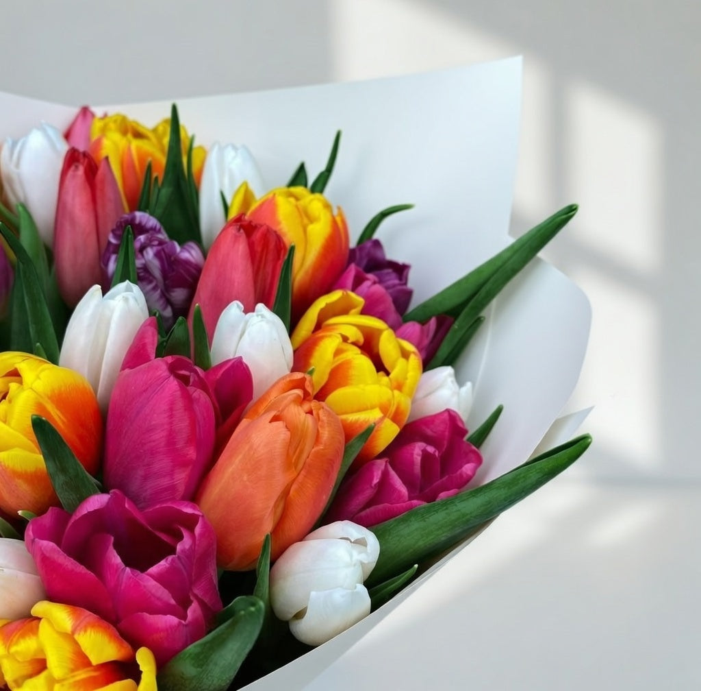 Vivid Harmony - 51 Mixed Tulips - TAVÉINE AE
