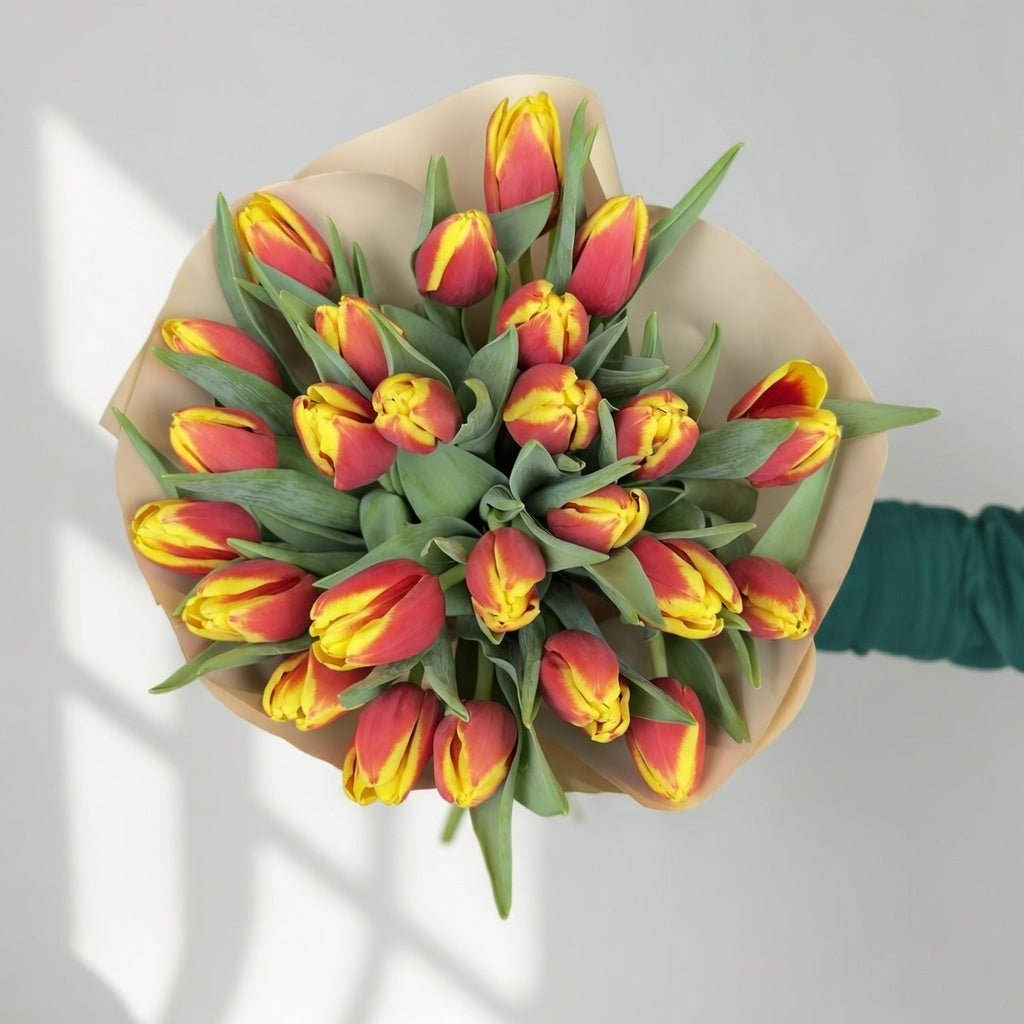 Sunset Glow - 25 Red Yellow Tulips - TAVÉINE AE