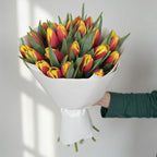 Sunset Glow - 25 Red Yellow Tulips - TAVÉINE AE