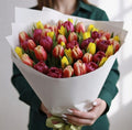 Vivid Harmony - 51 Mixed Tulips - TAVÉINE AE