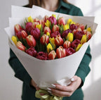 Vivid Harmony - 51 Mixed Tulips - TAVÉINE AE