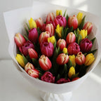 Vivid Harmony - 51 Mixed Tulips - TAVÉINE AE